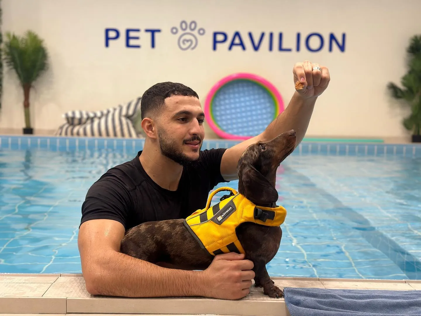 Pet pavilion team member in the pet pavilion swimming pool training a dog
